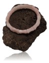 Bracelet quartz rose semi rigide pierres motif os