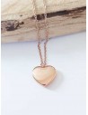 Collier acier inoxydable 316L doré pendentif coeur " Eternel Love"
